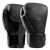 Hayabusa E1 Leather Boxing Gloves - Onyx Black