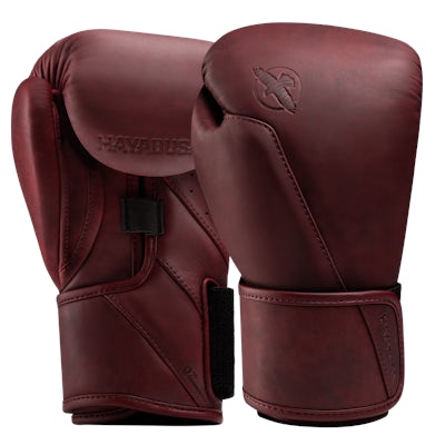 Hayabusa T360 Leather Boxing Gloves